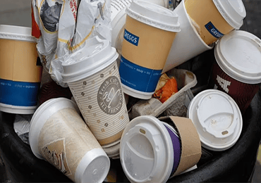 New study: disposable paper cups have microplastics too, and drinking 3 cups of hot water with them can damage reproduction